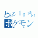 とある１０１番道路のポケモン達（雑魚）