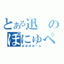 とある迅のぽにゅぺい（ぽぽぽぽーん）