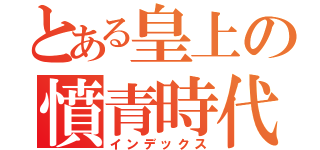 とある皇上の憤青時代（インデックス）