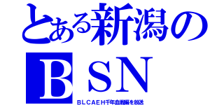 とある新潟のＢＳＮ（ＢＬＣＡＥＨ千年血戦編を放送）