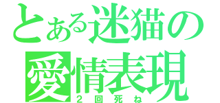 とある迷猫の愛情表現（２回死ね）