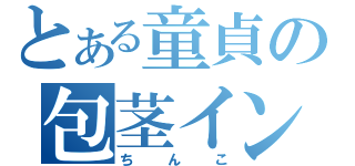 とある童貞の包茎インポ（ちんこ）