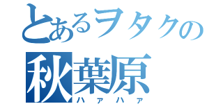 とあるヲタクの秋葉原（ハァハァ）