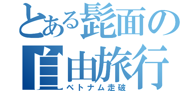 とある髭面の自由旅行（ベトナム走破）