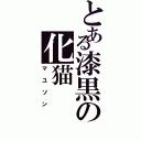 とある漆黒の化猫（マユソン）