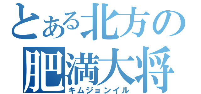 とある北方の肥満大将（キムジョンイル）