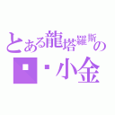 とある龍塔羅斯の枪靶小金（）