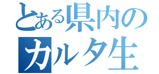 とある県内のカルタ生成（）