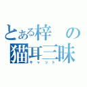 とある梓の猫耳三昧（キャット）