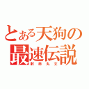 とある天狗の最速伝説（射命丸文）