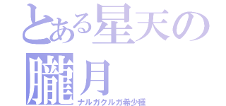 とある星天の朧月（ナルガクルガ希少種）