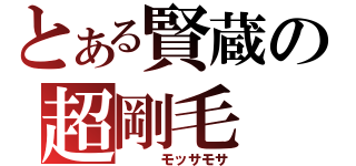 とある賢蔵の超剛毛（   モッサモサ）