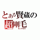 とある賢蔵の超剛毛（   モッサモサ）