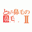 とある鼻毛の鼻毛Ⅱ（ハナゲ）