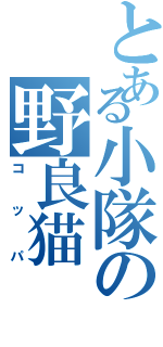 とある小隊の野良猫（コッパ）