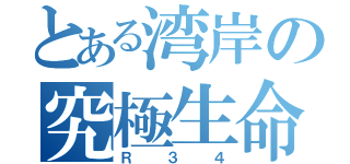 とある湾岸の究極生命体（Ｒ３４）