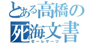 とある高橋の死海文書（ゼーレヤーツ）