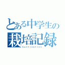 とある中学生の栽培記録（Ｃｕｌｔｉｖａｔｉｏｎ）