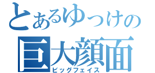 とあるゆっけの巨大顔面（ビッグフェイス）