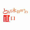 とある永谷園カニ玉の山口（）