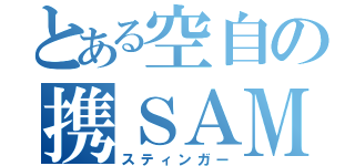 とある空自の携ＳＡＭ（スティンガー）