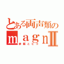 とある両声類のｍａｇｎｅｔⅡ（赤飯とピコ）