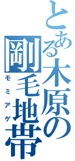 とある木原の剛毛地帯Ⅱ（モミアゲ）