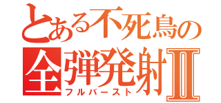 とある不死鳥の全弾発射Ⅱ（フルバースト）