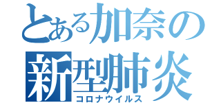 とある加奈の新型肺炎（コロナウイルス）