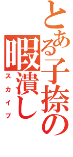 とある子捺の暇潰し（スカイプ）