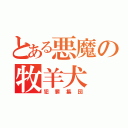 とある悪魔の牧羊犬（犯罪集団）