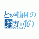 とある植村のお寿司のガリ（かかってんねぇ）