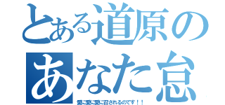 とある道原のあなた怠惰ですね（愛に愛に愛に召されるのです！！）