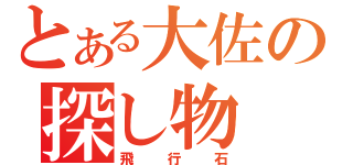 とある大佐の探し物（飛行石）