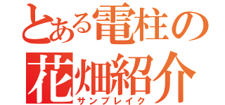 とある電柱の花畑紹介（サンブレイク）