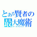 とある賢者の最大魔術（アースマジック）