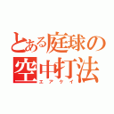 とある庭球の空中打法（エアケイ）