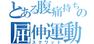 とある腹痛持ちの屈伸運動（スクワット）