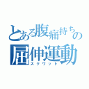 とある腹痛持ちの屈伸運動（スクワット）