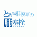 とある相模原の肺塞栓（クリアクター）