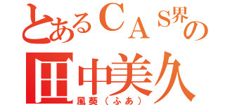 とあるＣＡＳ界の田中美久（風葵（ふあ））