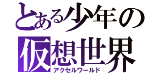 とある少年の仮想世界（アクセルワールド）