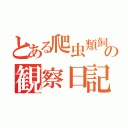 とある爬虫類飼いの観察日記（）