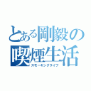 とある剛毅の喫煙生活（スモーキングライフ）