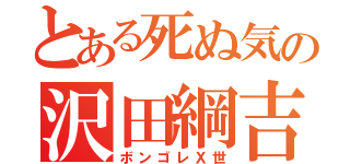 とある死ぬ気の沢田綱吉（ボンゴレＸ世）