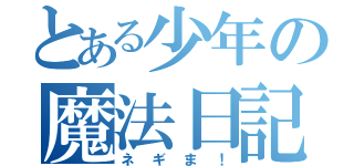 とある少年の魔法日記（ネギま！）