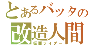 とあるバッタの改造人間（仮面ライダー）