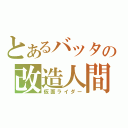 とあるバッタの改造人間（仮面ライダー）