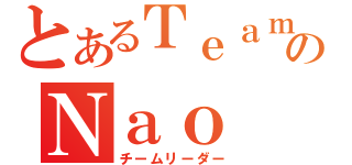 とあるＴｅａｍＭｏｏｎのＮａｏ（チームリーダー）