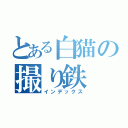 とある白猫の撮り鉄（インデックス）